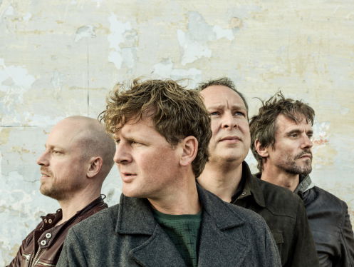 Racoon in de studio!