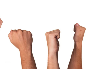 In hetzelfde schuitje...