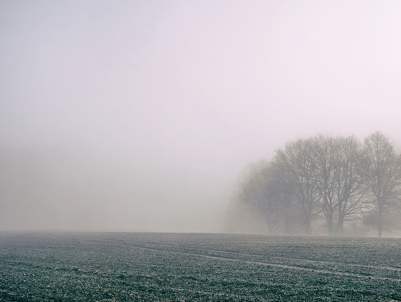 De Witte Wieven van dagsluiter Herman Haan