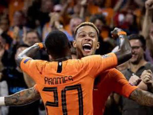 Grotere leeuwen in Oranje