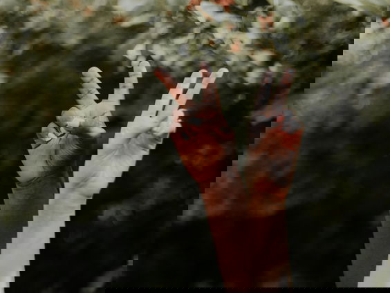 Het is Anti-discriminatie-dag! Zo word jij bewuster