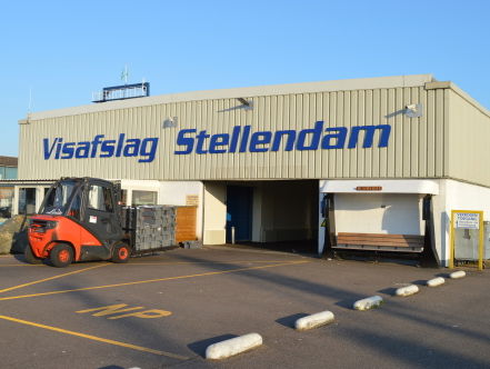 Stellendamse garnaal: "dat is zo super!"