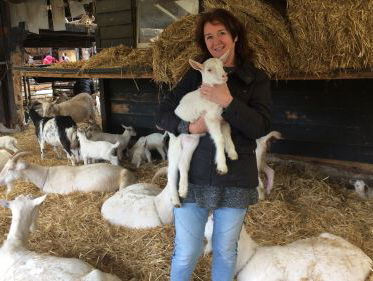 Geiten, geiten en geiten en... geiten