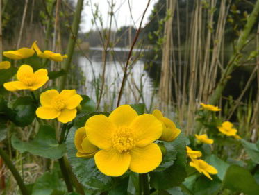 Martine Dubois op bezoek in de Vlietlanden bij Vlaardingen