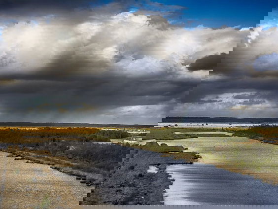 Waarom doet het zeldzame Paapje het goed in het Fochteloërveen?