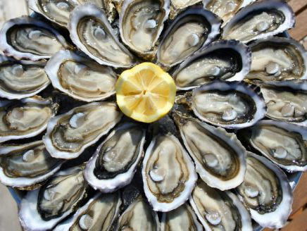 De Koelkastcoach - Oesters zijn enorm gezond!