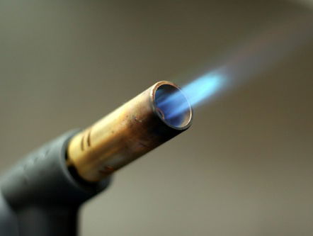 Kleine kleutertjes...of klootzakjes?!