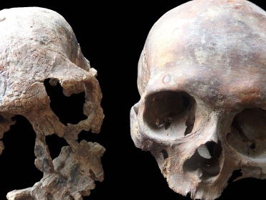 Tom Zoutewelle neemt schedels mee