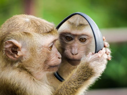 Patrick van Veen over zijn theatercollega 'Jacht'