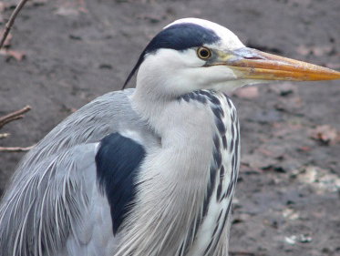 Martine Dubois neemt ons mee naar Nieuw-Zeeland