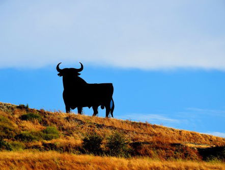 "Laat Spanje je zintuigen prikkelen"