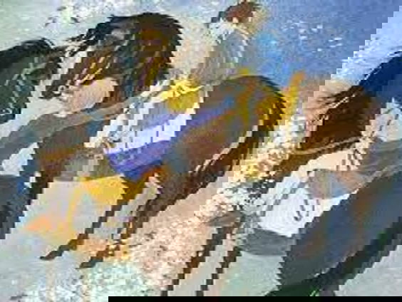 Vakantieboek 1973: De Gebroeders Leeuwenhart van Astrid Lindgren