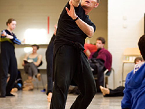 Wat Een Vak: choreograaf