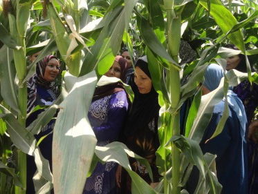 Boerenveldscholen voor vrouwen