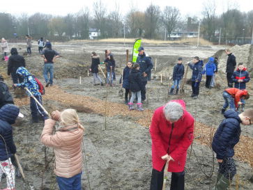 4/6 - Tiny Forest? Kan dat niet gewoon in het Nederlands; klein bosje?