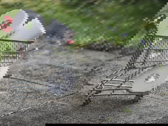 Winkelen in België met je eigen handvat