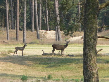 Martine Dubois is niet dol op de jacht