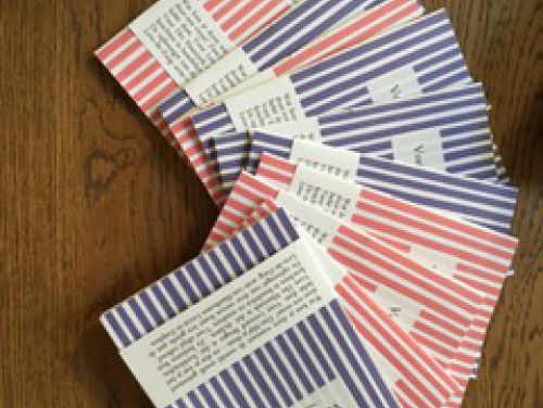 Eke Mannink over haar bundel Voor altijd vallend