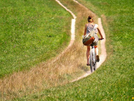 Trappen door Zuid-Hollands groen, water en polders