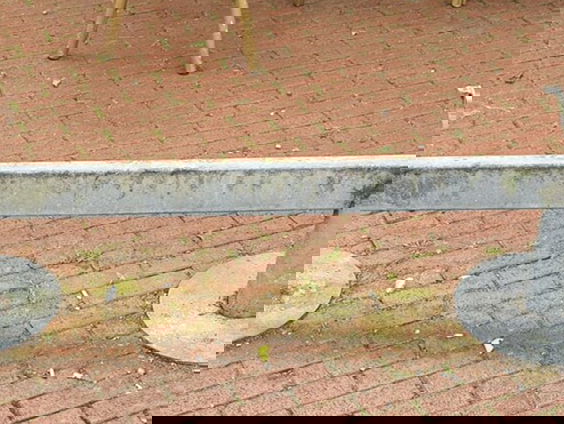 Winschoten heeft last van hangouderen