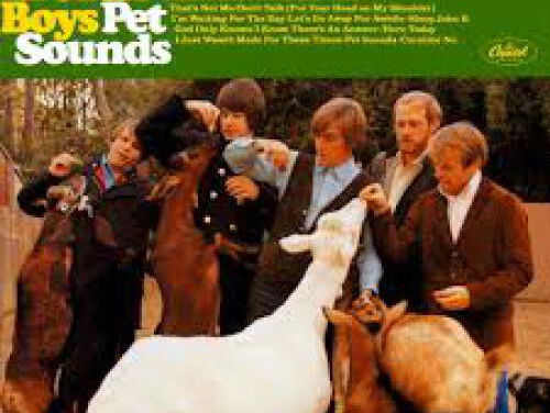 Liefde voor Muziek: Plaatwaarde: Pet Sounds - Beach Boys