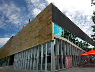 Kunst inzetten tijdens de Week van de Eenzaamheid: kunstkoppel in de kunsthal