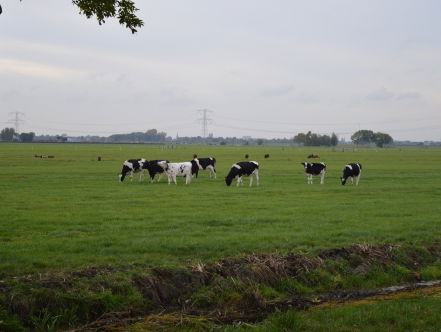 De Nederlandse bodem zakt meer dan verwacht
