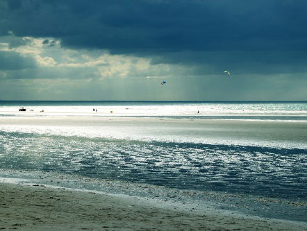 Weekend! Het leukste uitje - Fossielendag Maasvlakte