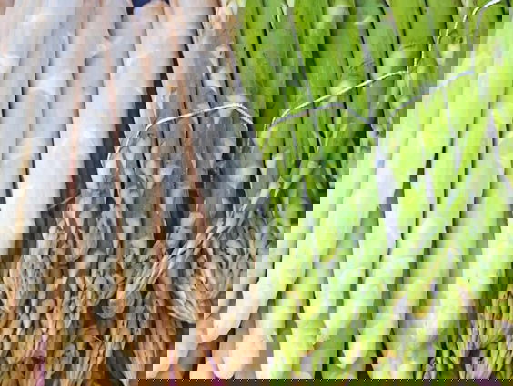 Welke asperge is gezonder: de witte of groene? Koelkastcoach Sabine Leijten weet het!