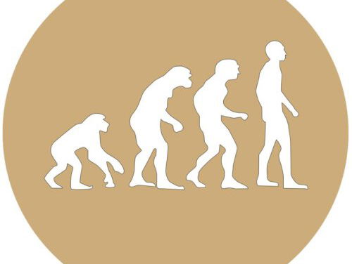 Nieuw lesboek moet geschiedenis weer interessant maken