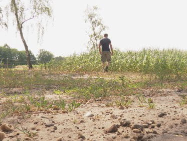 Droogte in Nederland: wat zijn de oplossingen?