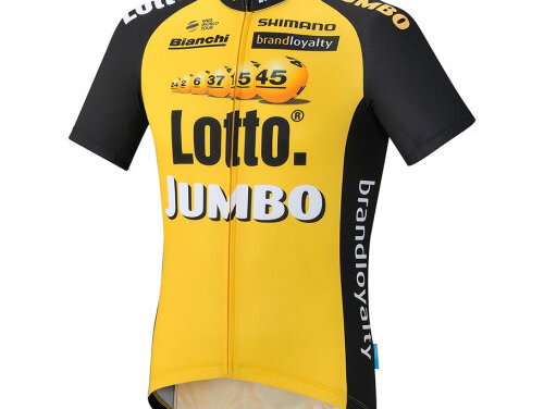 Sponsoring in de sport