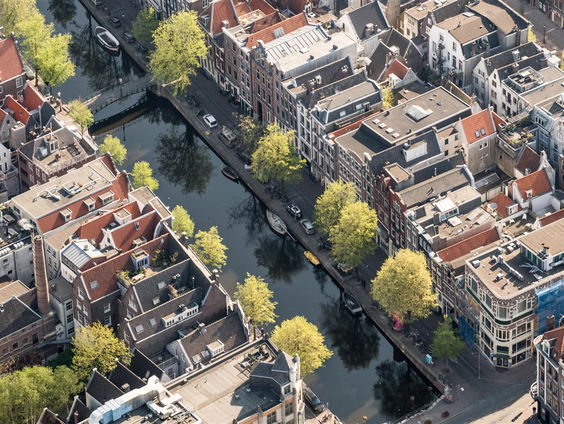 Weg met het groen aan de Amsterdamse grachten!