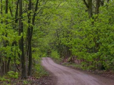 Sjef maakte stiekem een wandelpad: het Sjefkepad