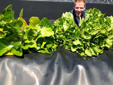 Eerste oogst drijvende eilanden Wageningen