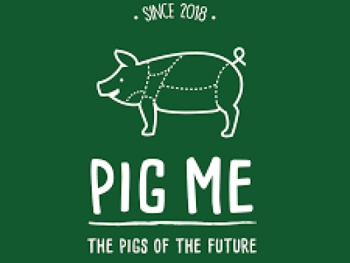 Varkens rapen ganzeneieren