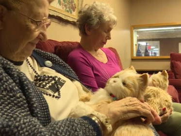 Robotkat voor opa en oma