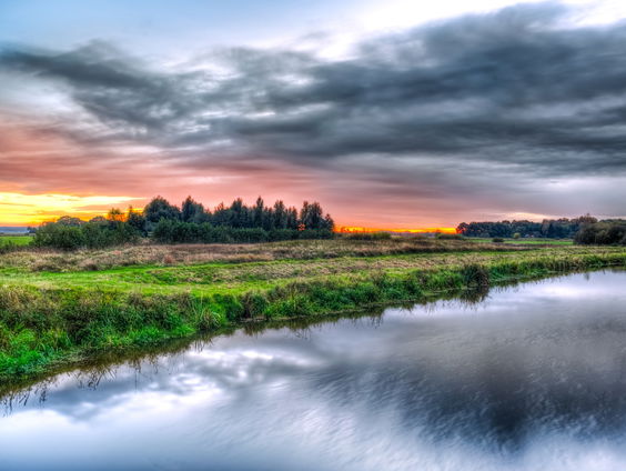 'Nieuwe wildernis' in het Hart van Drenthe