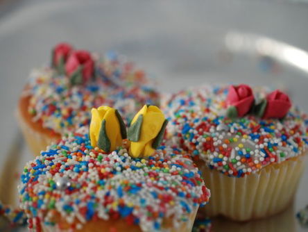 Ada Rabe (40) en Erik Nijland (50) zijn gelijk jarig met de koning