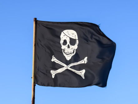 Het land der digitale blinden