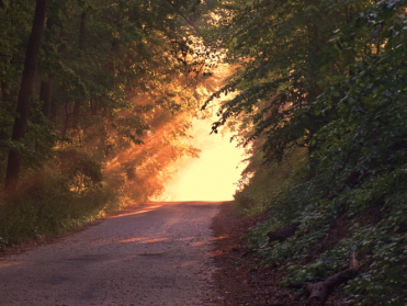 Nog één verhaaltje voor het slapen gaan!