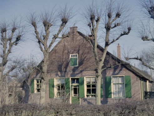 Jan van Steenis zoekt Saskia Noordzij