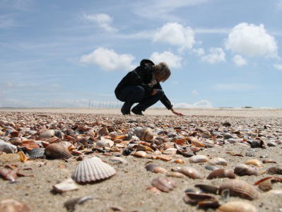 Najaar: tijd om te gaan jutten!