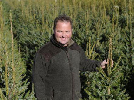 "Mensen willen tegenwoordig een Disneyboom"