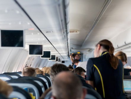 Stewardessen redden dieren met Wings for Animals