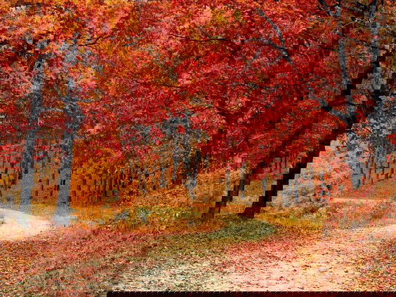 De herfst is begonnen