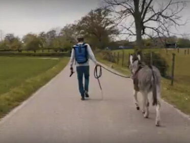 Tjerk Ridder loopt van Parijs naar Utrecht met ezel