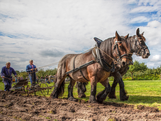 'Derde Paasdag' als nieuwjaarsdag!
