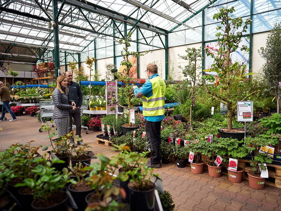 Corona maakt mensen plant-aardiger