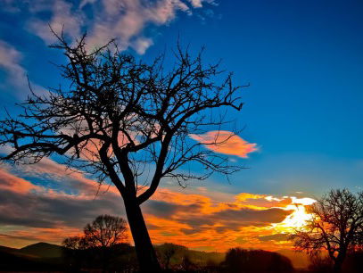 Dagsluiter - Marco Wittenberg